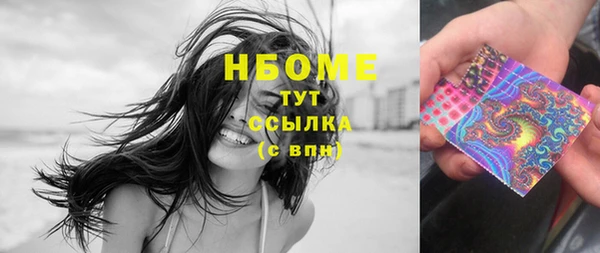 стаф Надым