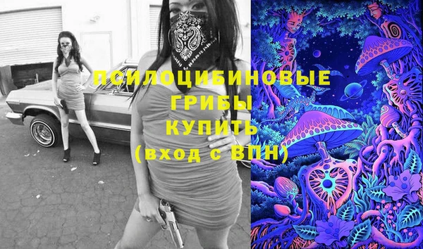 стаф Надым