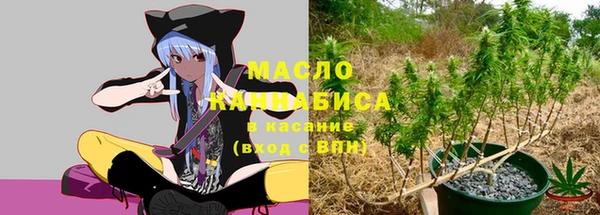 стаф Надым