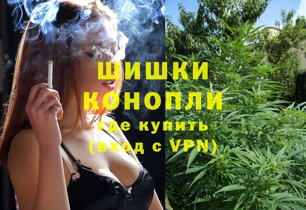 стаф Надым