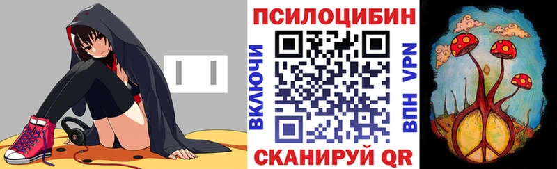 Псилоцибиновые грибы мицелий  Нижняя Салда 
